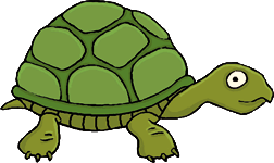 Tortue Herman
