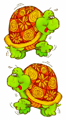 Valse des tortues